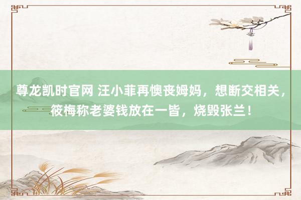 尊龙凯时官网 汪小菲再懊丧姆妈，想断交相关，筱梅称老婆钱放在一皆，烧毁张兰！