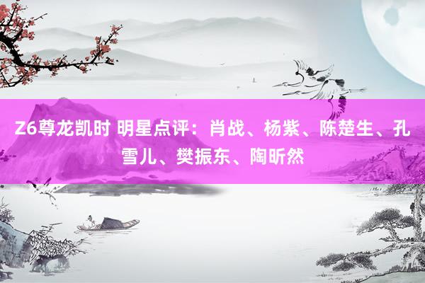 Z6尊龙凯时 明星点评：肖战、杨紫、陈楚生、孔雪儿、樊振东、陶昕然