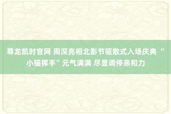 尊龙凯时官网 周深亮相北影节驱散式入场庆典 “小猫挥手”元气满满 尽显调停亲和力
