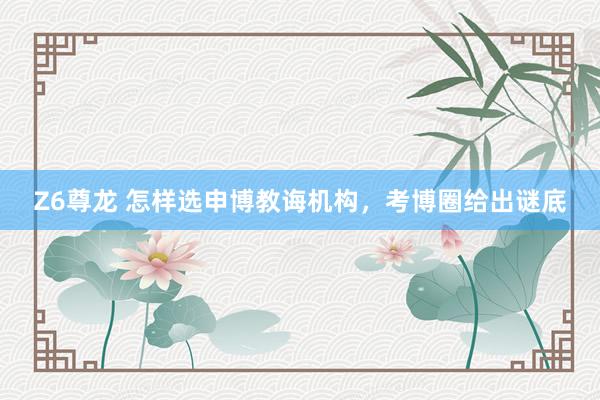 Z6尊龙 怎样选申博教诲机构，考博圈给出谜底