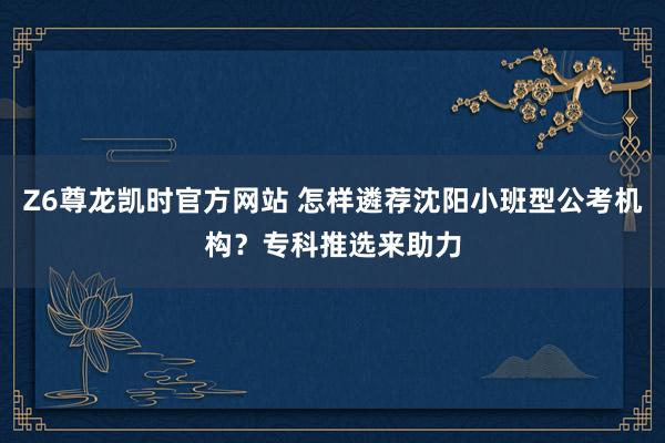 Z6尊龙凯时官方网站 怎样遴荐沈阳小班型公考机构？专科推选来助力