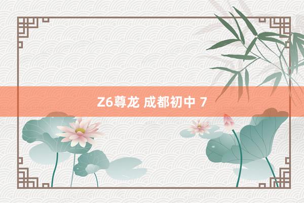 Z6尊龙 成都初中 7