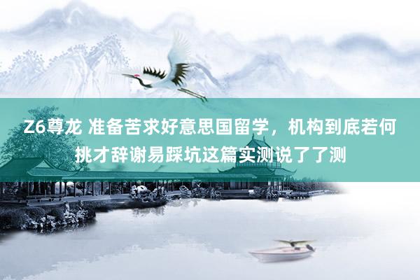 Z6尊龙 准备苦求好意思国留学，机构到底若何挑才辞谢易踩坑这篇实测说了了测