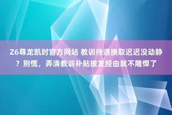 Z6尊龙凯时官方网站 教训待遇换取迟迟没动静？别慌，弄清教训补贴披发经由就不雕悍了