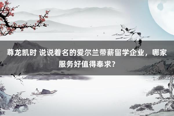 尊龙凯时 说说着名的爱尔兰带薪留学企业，哪家服务好值得奉求？