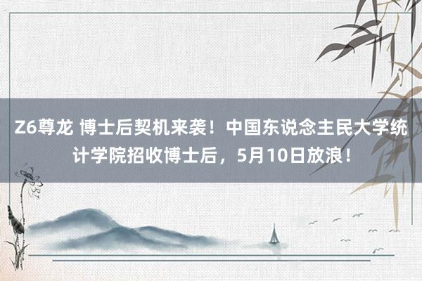 Z6尊龙 博士后契机来袭！中国东说念主民大学统计学院招收博士后，5月10日放浪！