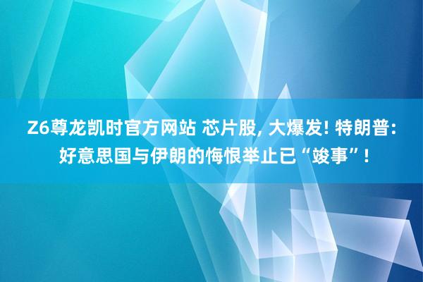 Z6尊龙凯时官方网站 芯片股， 大爆发! 特朗普: 好意思国与伊朗的悔恨举止已“竣事”!