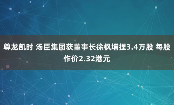 尊龙凯时 汤臣集团获董事长徐枫增捏3.4万股 每股作价2.32港元