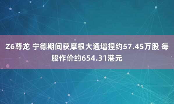 Z6尊龙 宁德期间获摩根大通增捏约57.45万股 每股作价约654.31港元