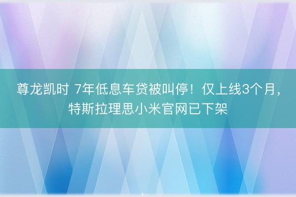 尊龙凯时 7年低息车贷被叫停！仅上线3个月，特斯拉理思小米官网已下架